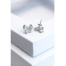 Сережки Ab 01212